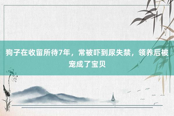 狗子在收留所待7年，常被吓到尿失禁，领养后被宠成了宝贝