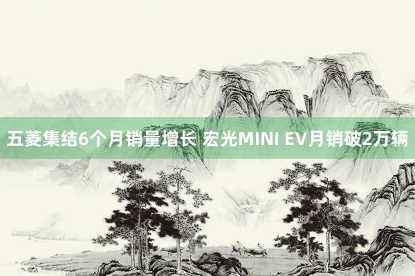 五菱集结6个月销量增长 宏光MINI EV月销破2万辆