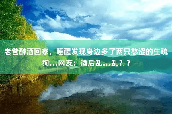 老爸醉酒回家，睡醒发现身边多了两只憨涩的生疏狗…网友：酒后乱…乱？？