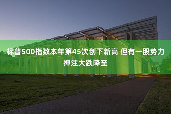 标普500指数本年第45次创下新高 但有一股势力押注大跌降至