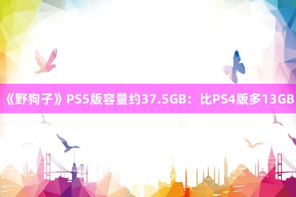 《野狗子》PS5版容量约37.5GB：比PS4版多13GB