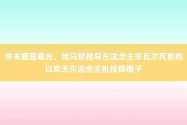 终末画面曝光，哈马斯指导东说念主辛瓦尔死前向以军无东说念主机投掷棍子