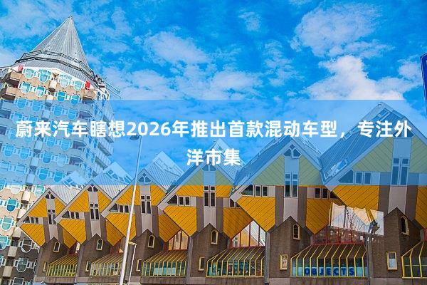 蔚来汽车瞎想2026年推出首款混动车型，专注外洋市集